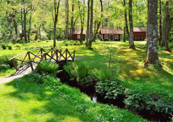 Materialen voor bouw en tuin: jouw complete leverancier