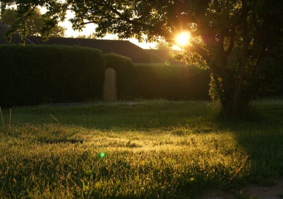 Een stijlvolle groene omheining van je tuin