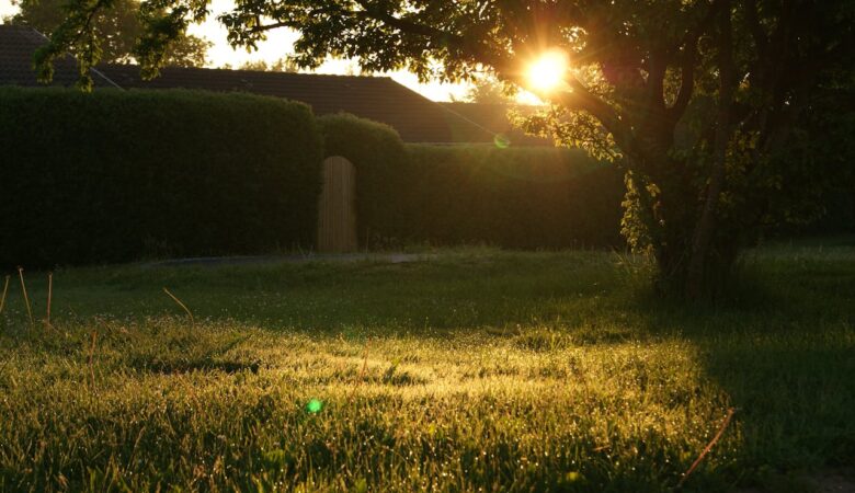 Een stijlvolle groene omheining van je tuin