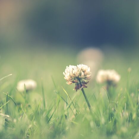 Wat kost een dakkapel en waarom kiezen mensen hiervoor?