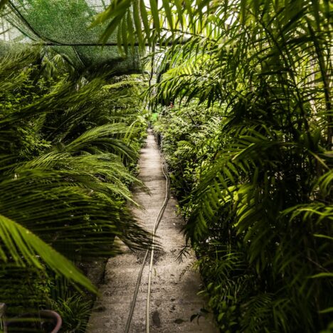 Wat kost dakkapel plaatsen en waar moet je op letten?