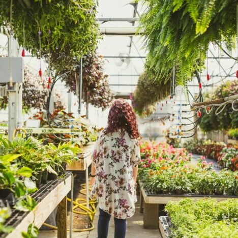 Wat kost een serre? Alles over prijzen en wonen met extra ruimte