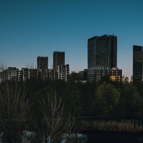 Tomaten planten in de serre: Het juiste moment voor een rijke oogst in de tuin