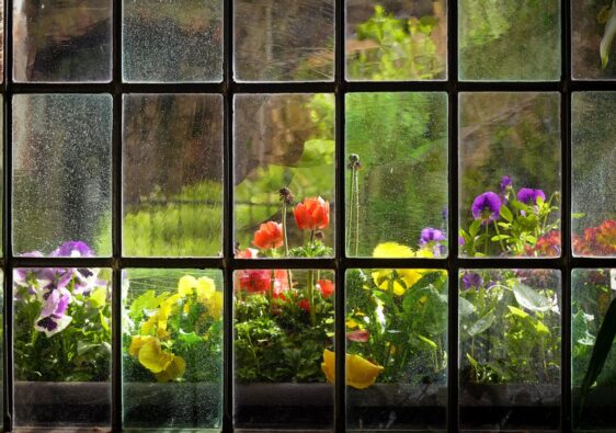 Waarom polycarbonaat steeds vaker glas vervangt in huis en tuin