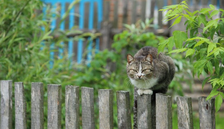 De perfecte schutting voor jouw tuin